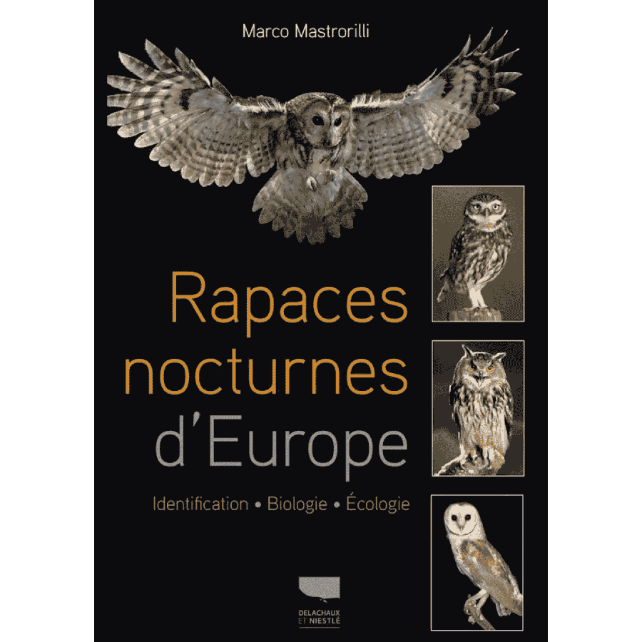 Rapaces nocturnes d'europe
