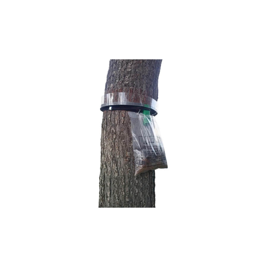 Collier anti-chenilles