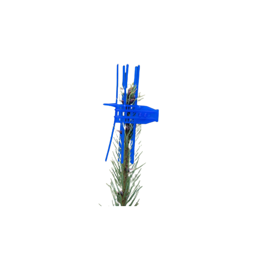 Plantagard cactus bleu /100