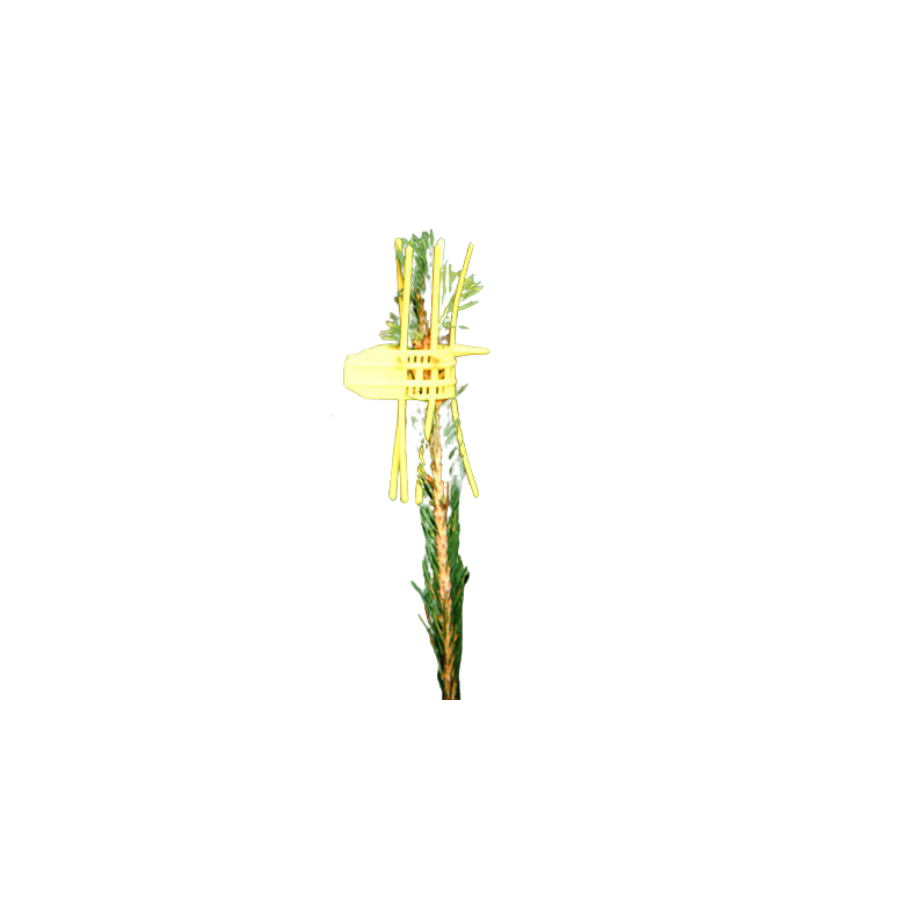 Plantagard cactus jaune/1000