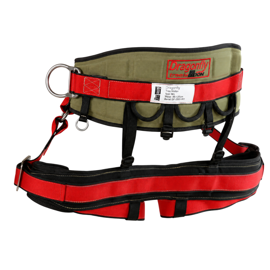 Ceinture Dragonfly