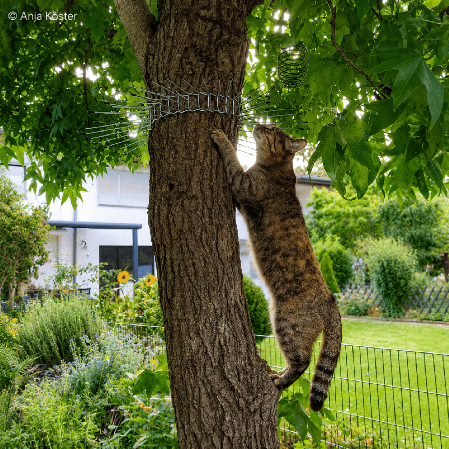 Stopminou