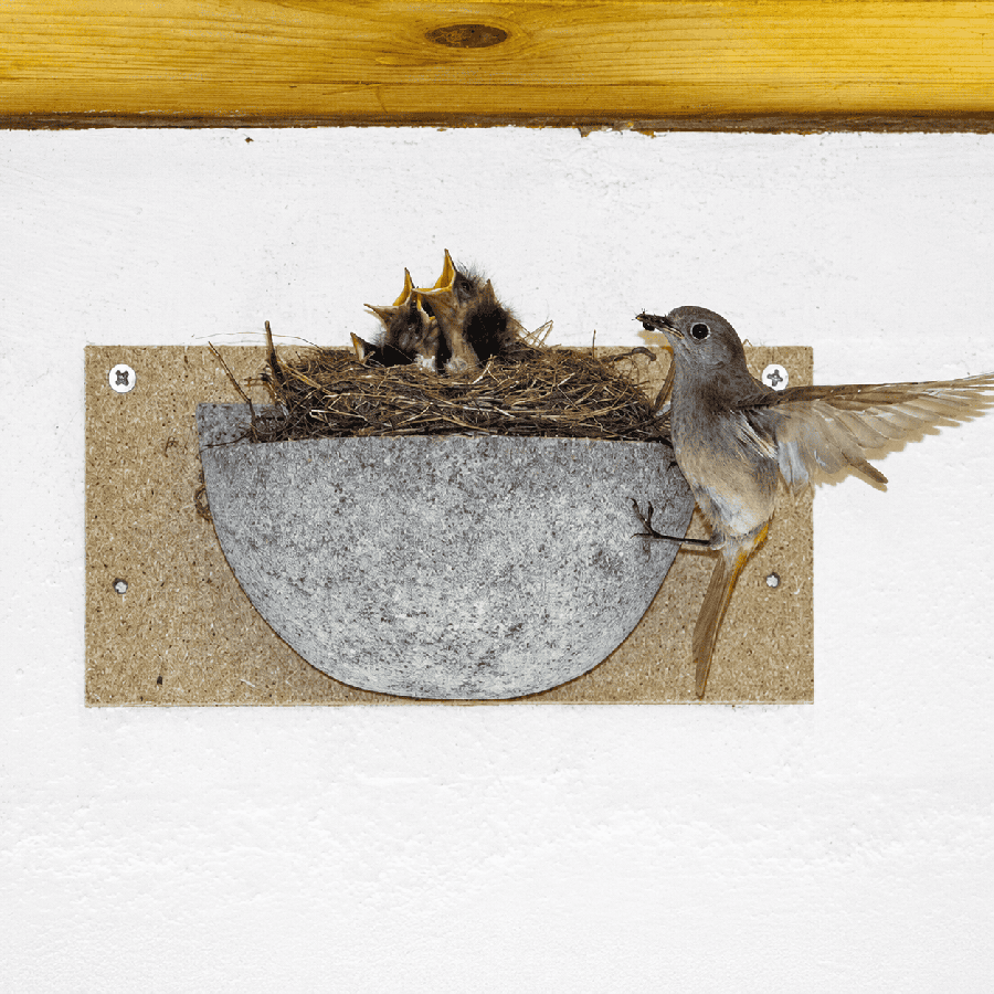 Nichoir pour hirondelle