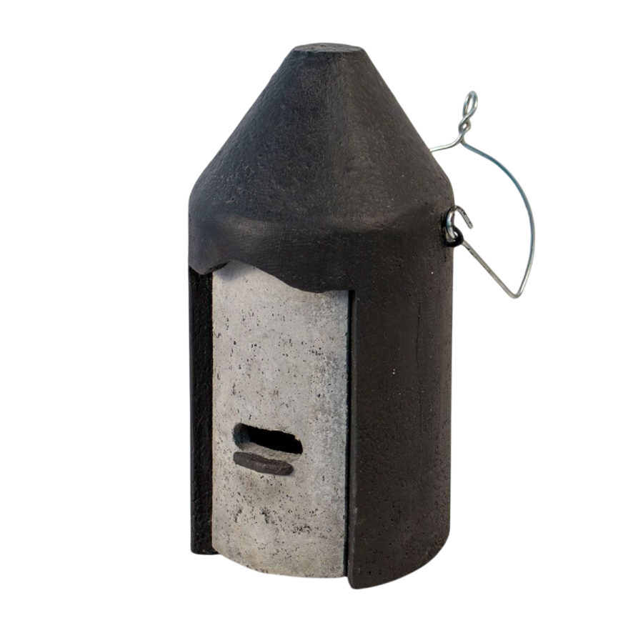 Gite a chauve-souris 2f