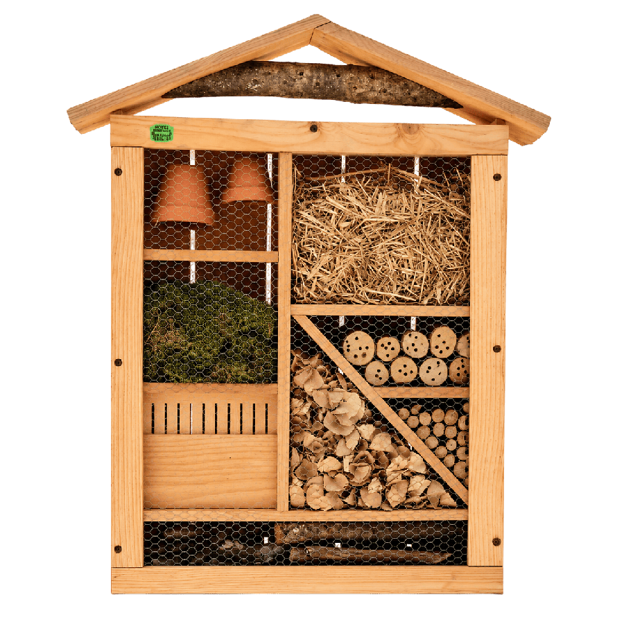 Hotel a insectes geant+pied