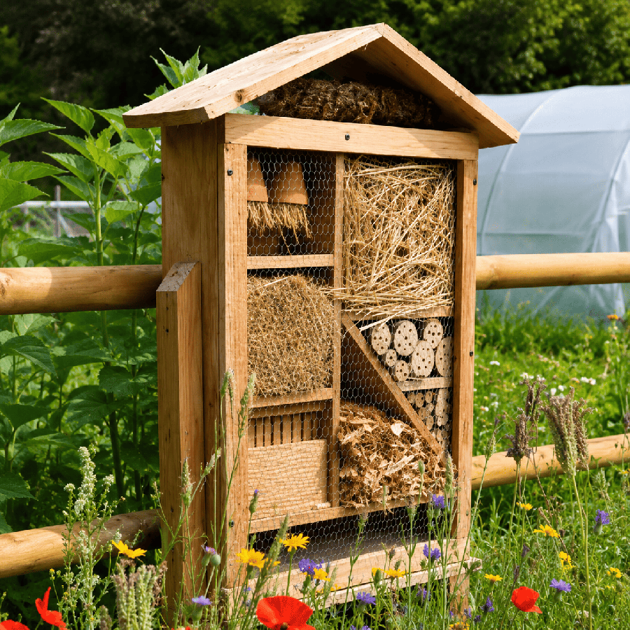Hotel a insectes geant+pied