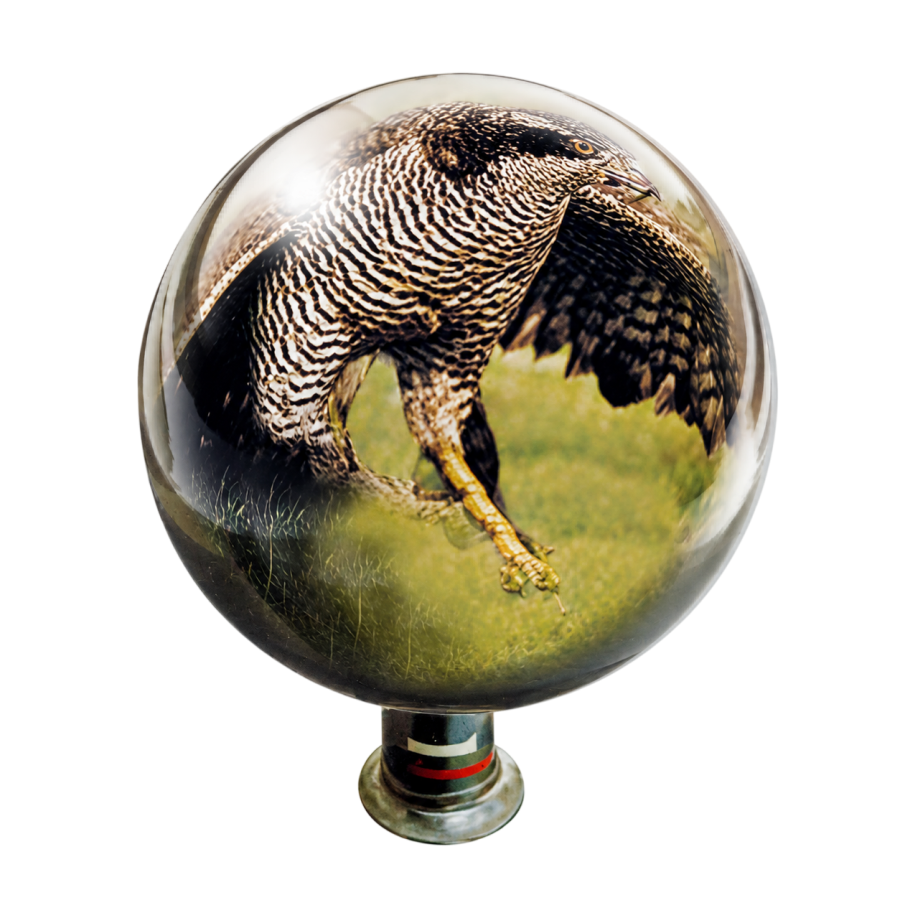Boule miroir anti-rapace
