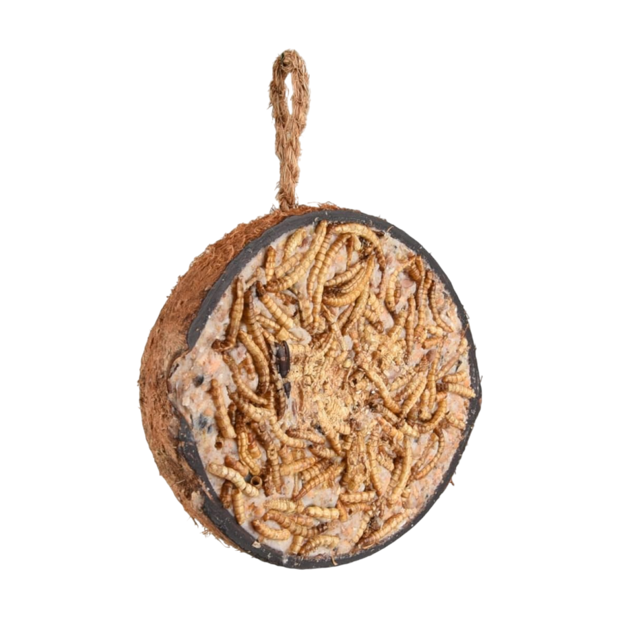 Demi noix de coco
