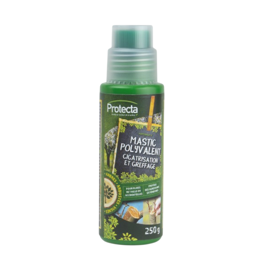 Phytopast g 250g