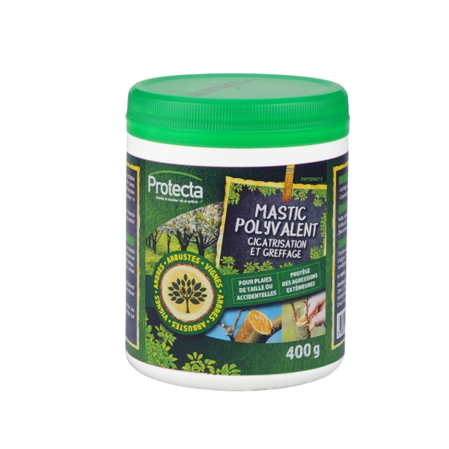 Phytopast g pot 400g