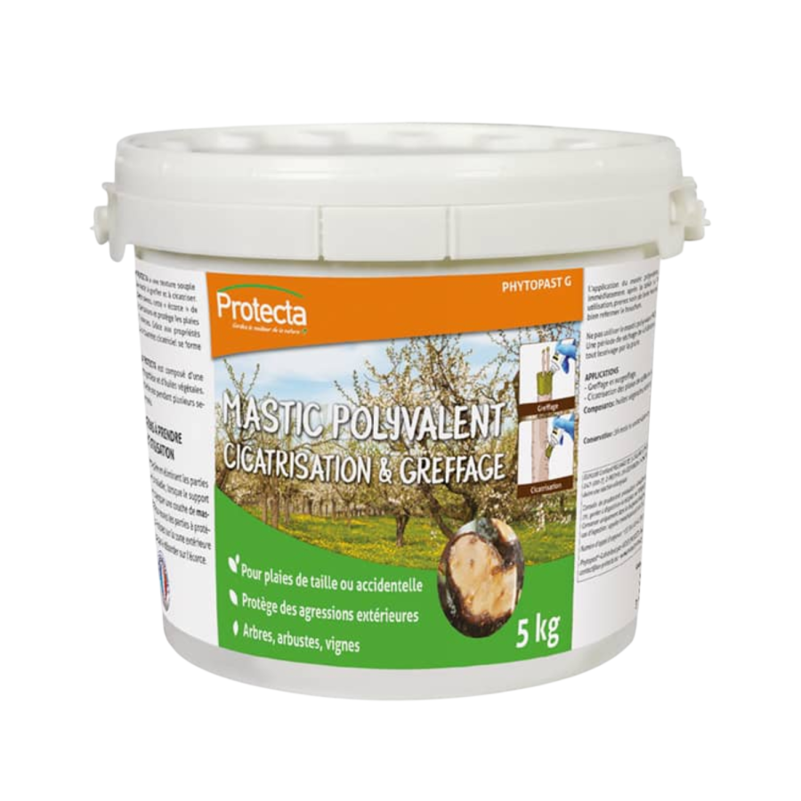 Phytopast g seau 5kg