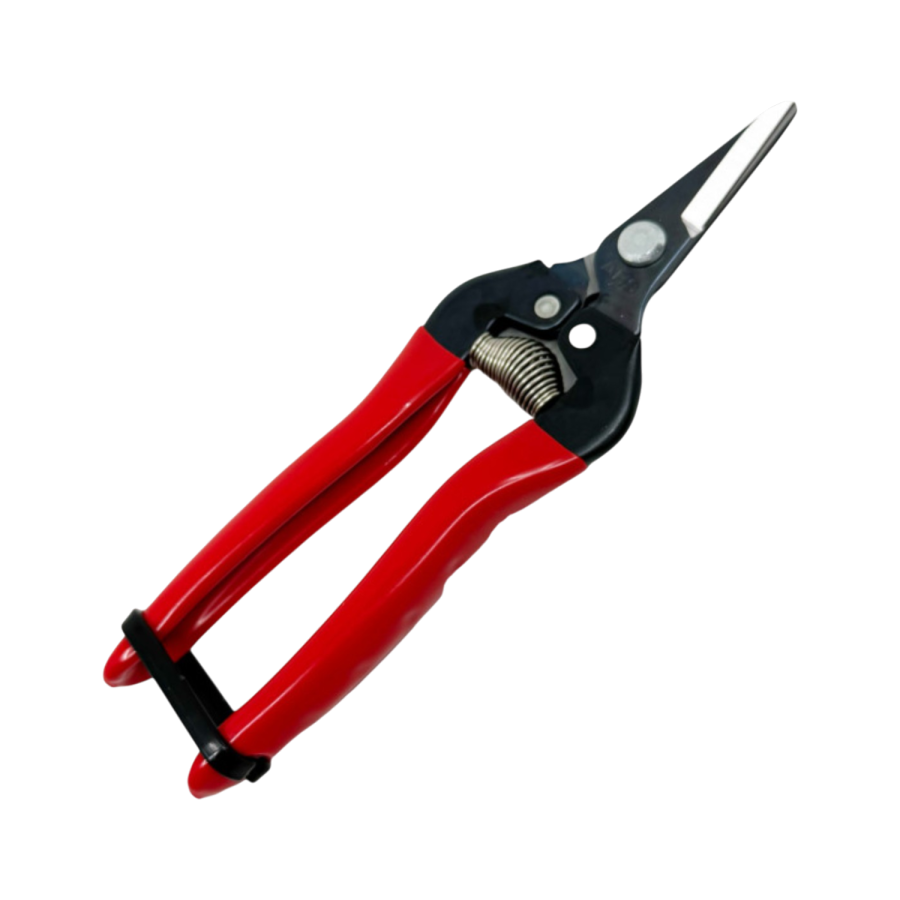 Secateur vendange ars 300ssr