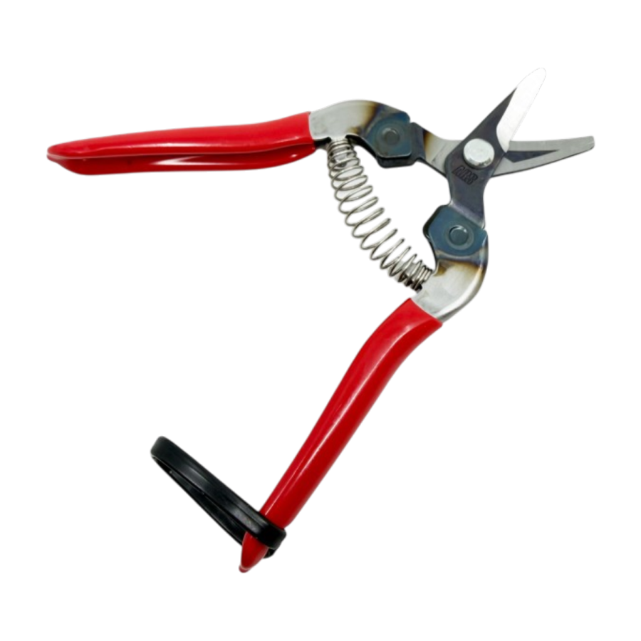 Secateur vendange ars 310r