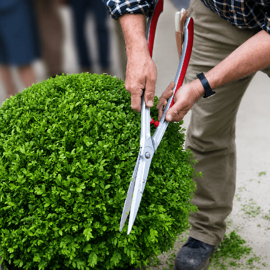 Secateur a haie kr-1000