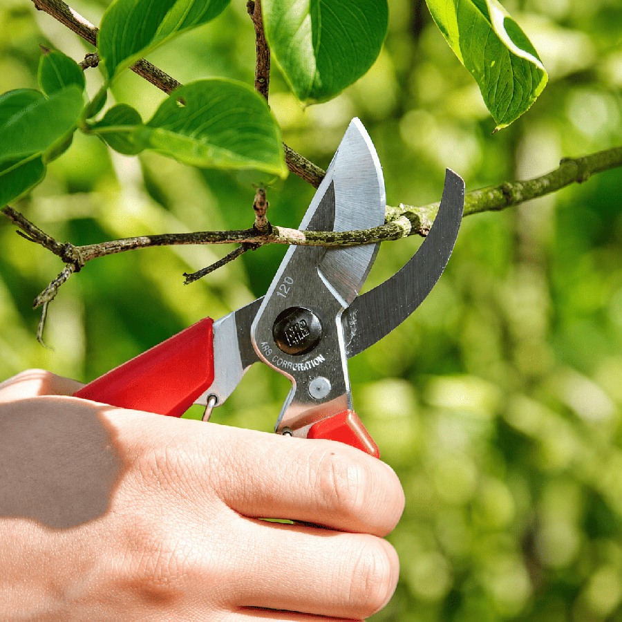 Secateur 120 dx