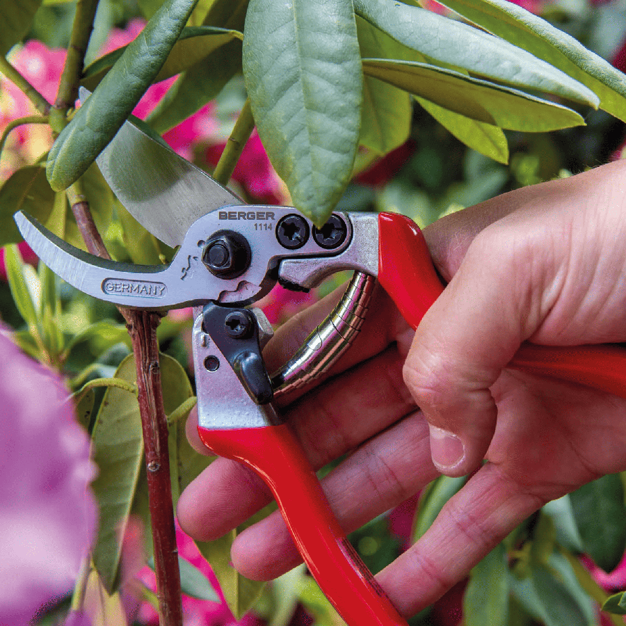 Secateur berger 1114