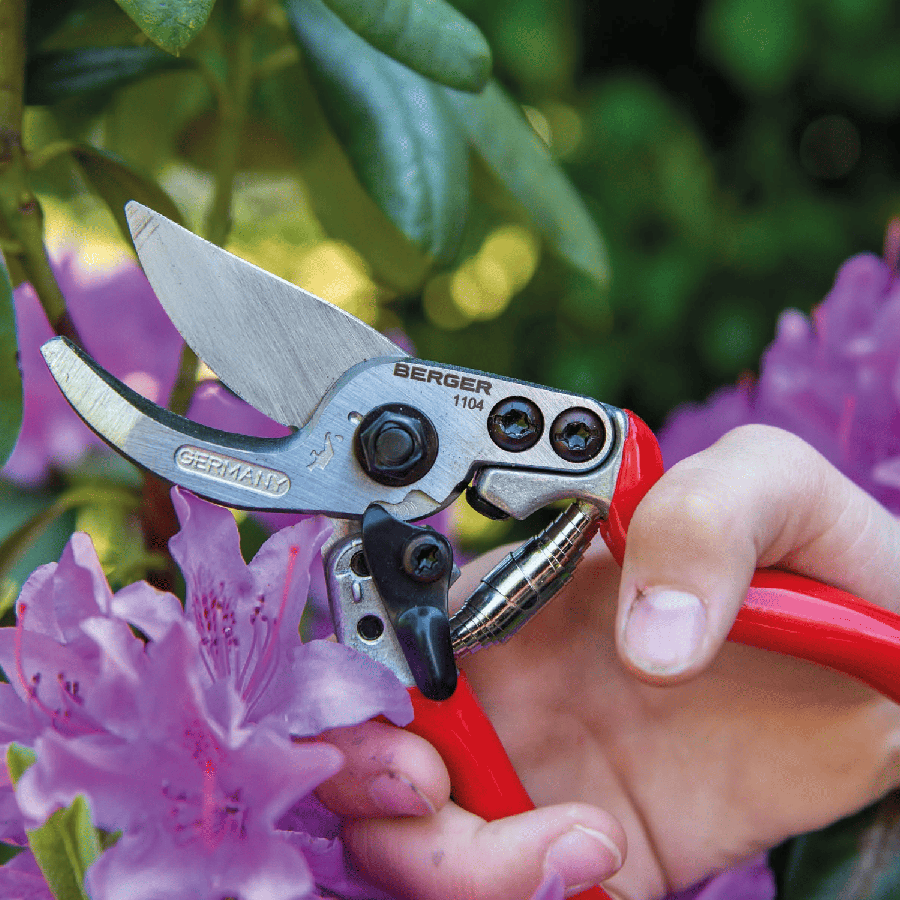 Secateur berger 1104