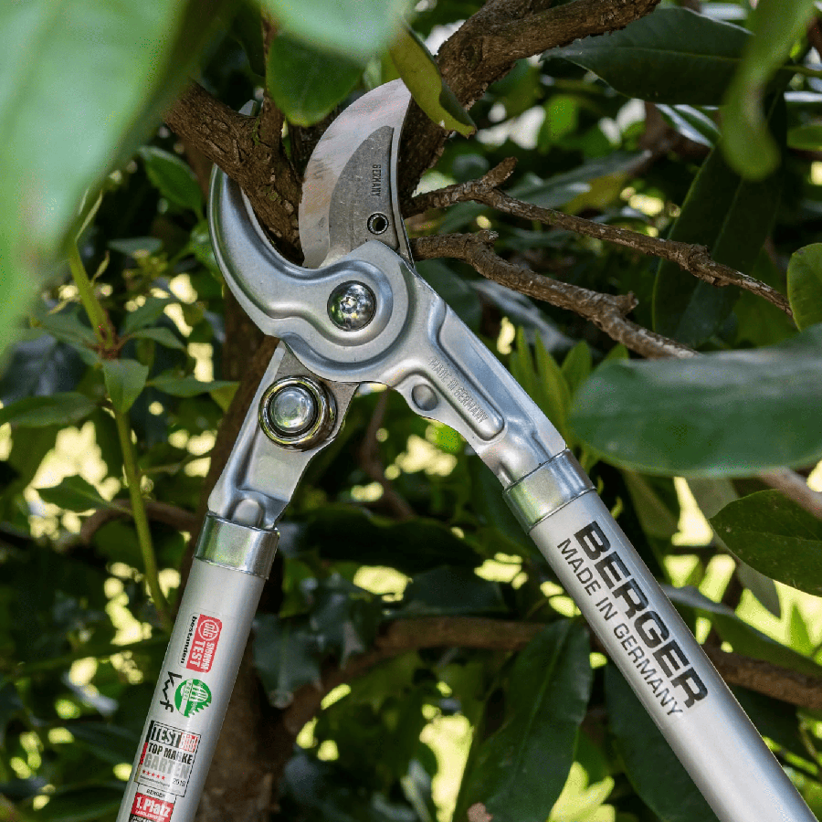 Ebrancheur berger pro 4170