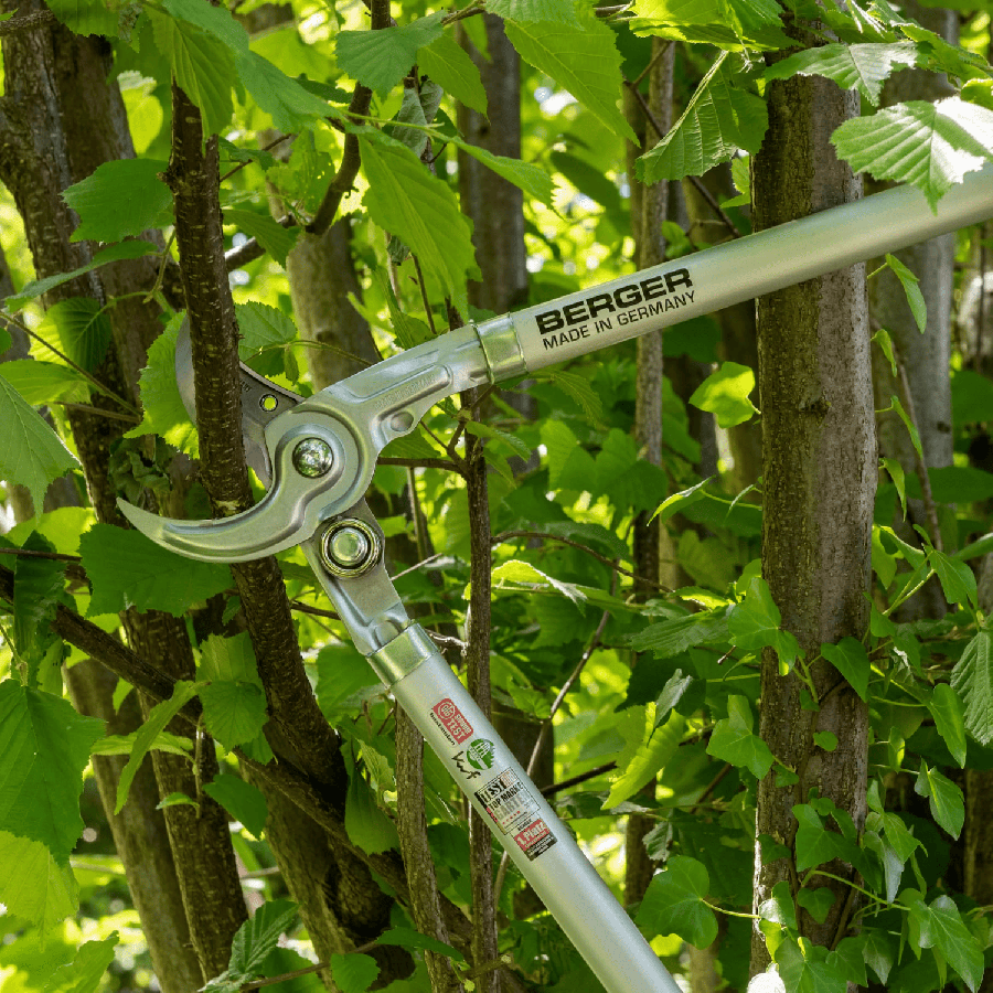 Ebrancheur berger pro 4170