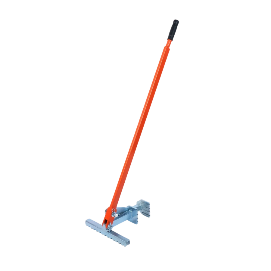 Arrache arbuste