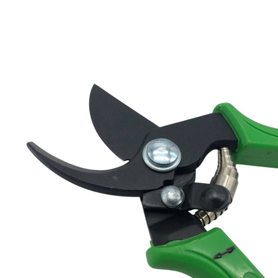 Secateur 2020 freund
