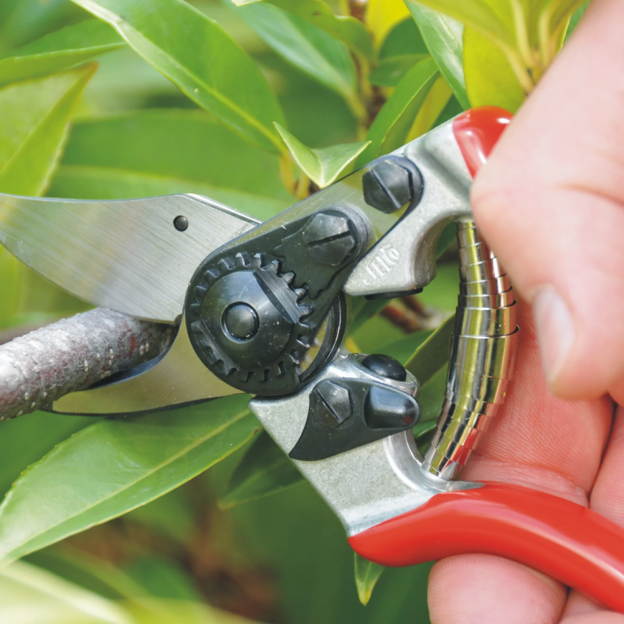 Secateur felco 6