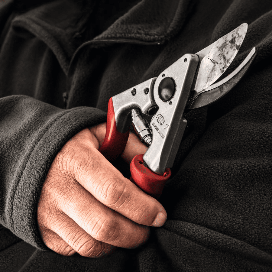 Secateur felco 7