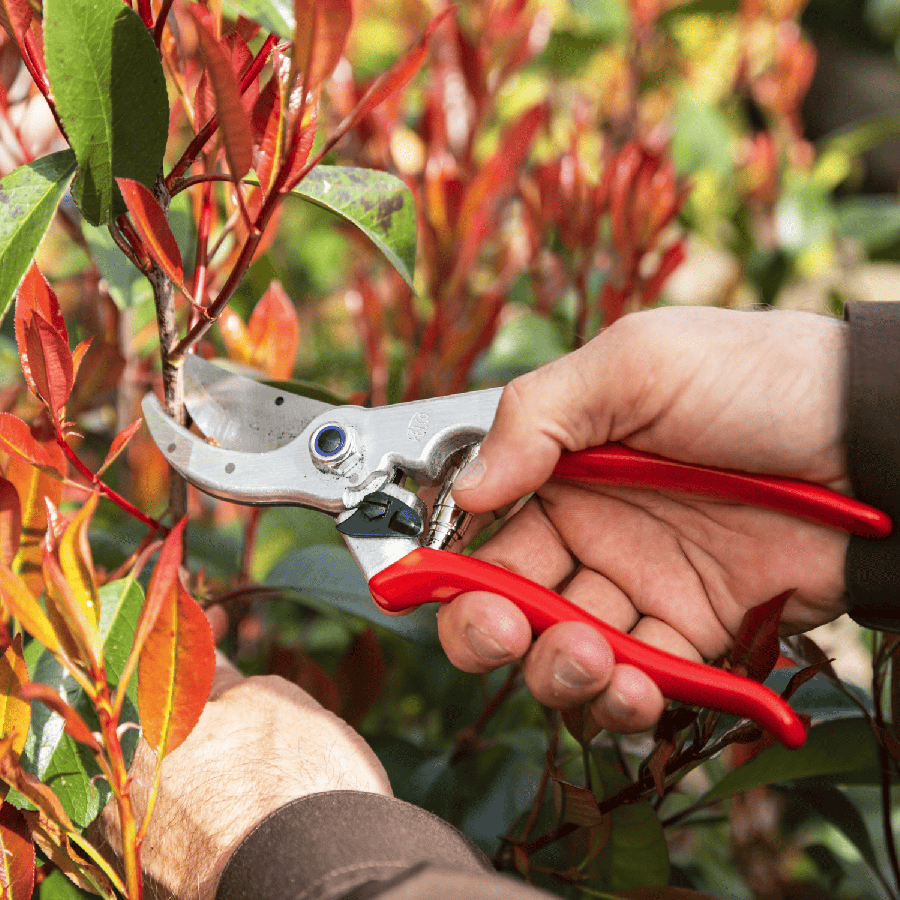 Secateur felco 4