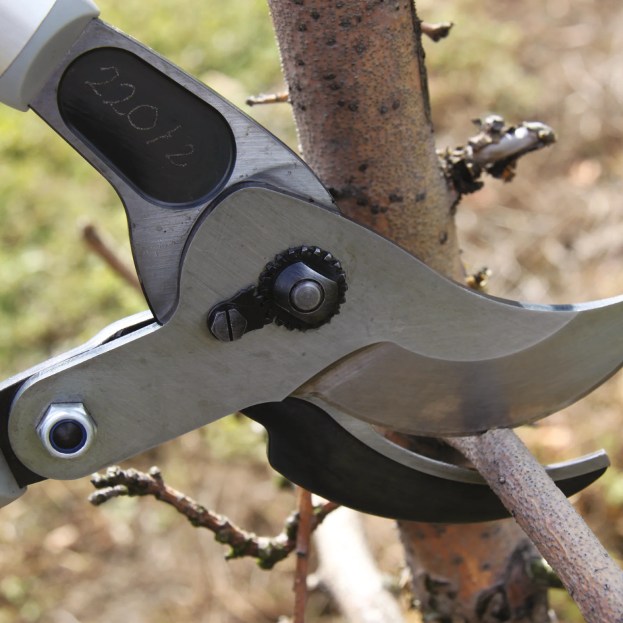 Ebrancheur felco 220