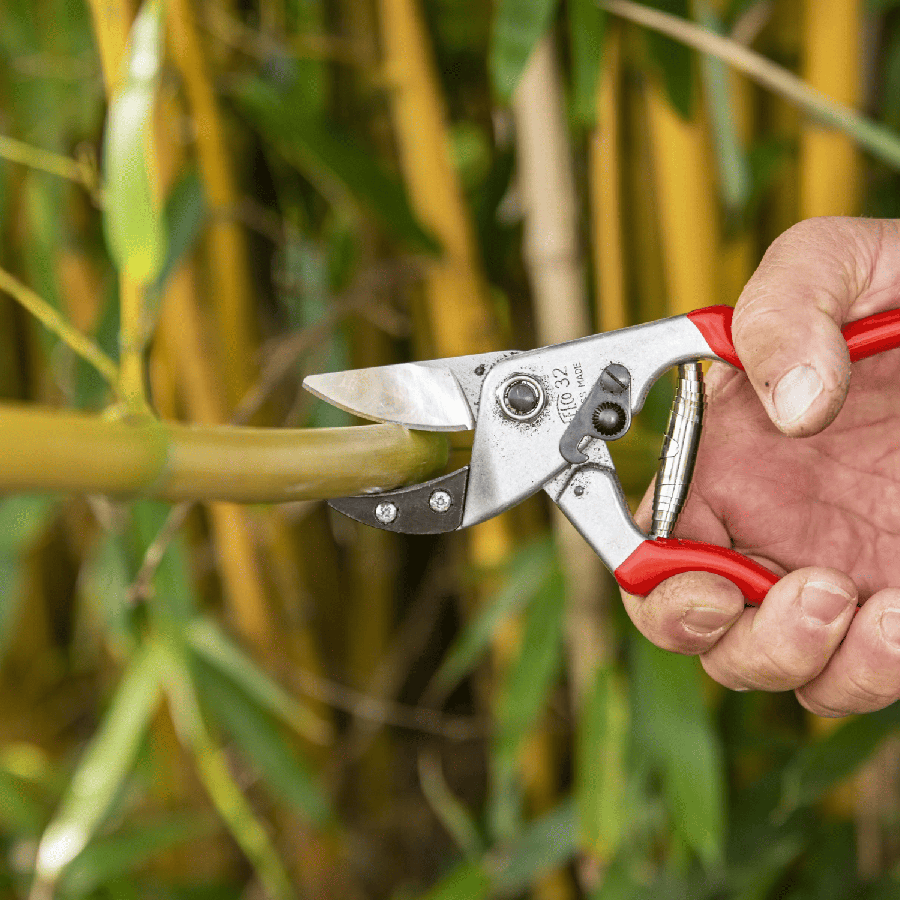 Secateur a enclume courbe felco f32