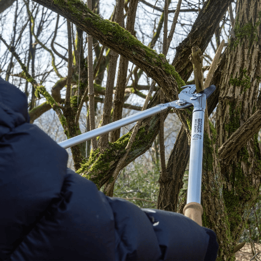 Ebrancheur manches liege
