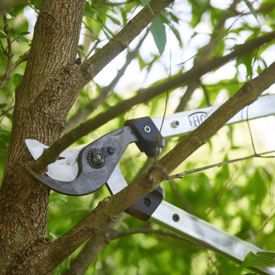 Ebrancheur felco 211 60cm