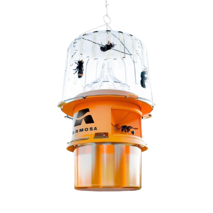 Piège sélectif frelons asiatiques GOOD4BEES