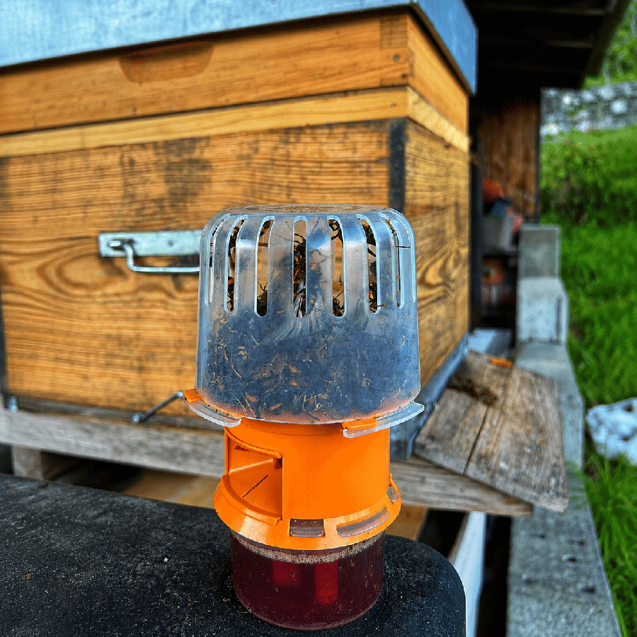 Piège sélectif frelons asiatiques GOOD4BEES