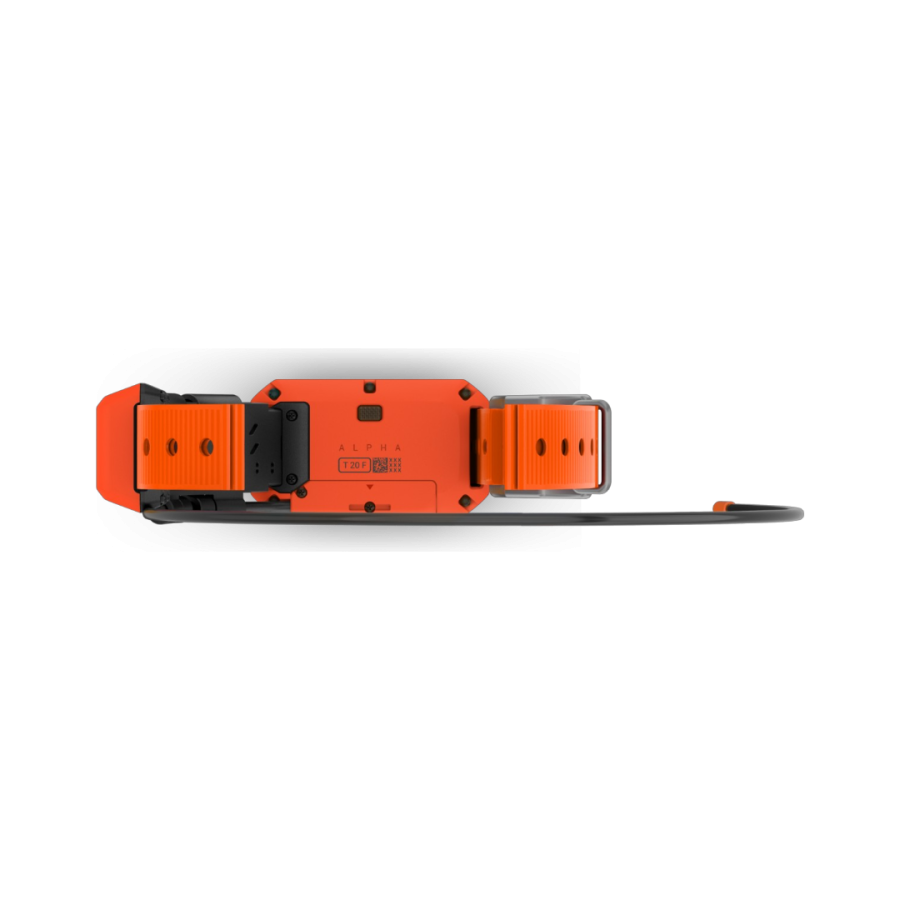 Collier de suivi Garmin T20F