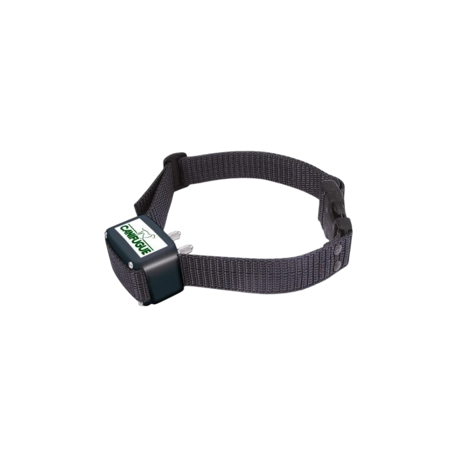 Collier anti-fugue CANIFUGUE