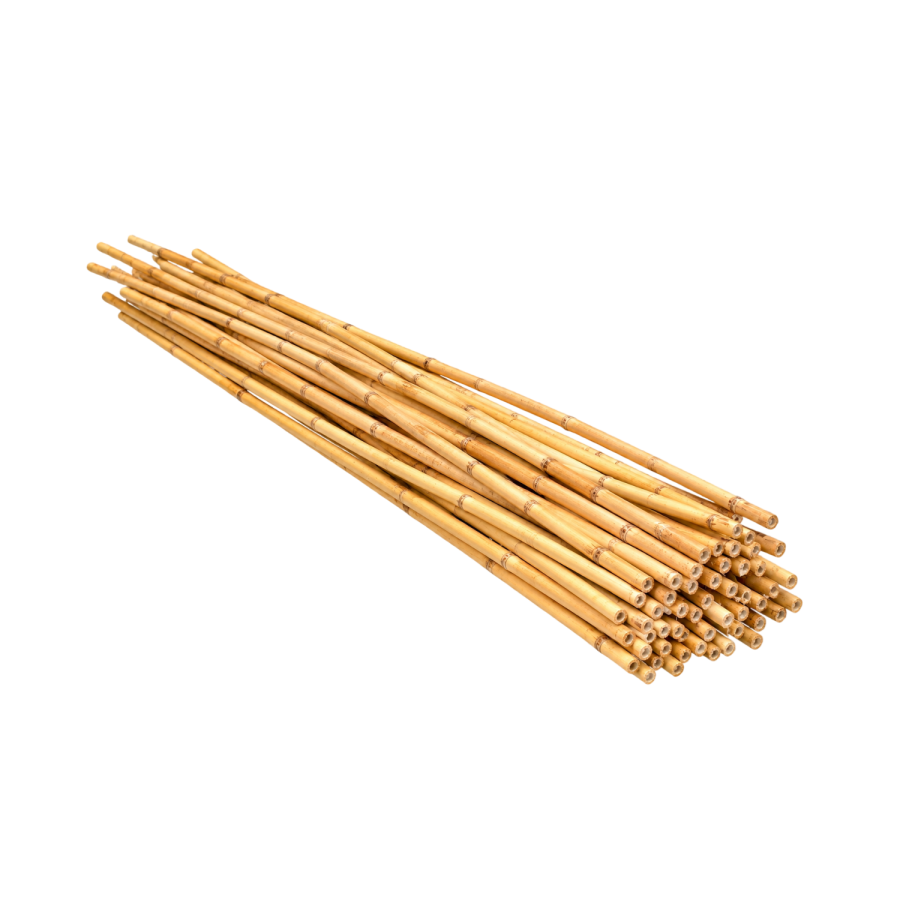 Lot de 25 Tuteurs bambou 90cm x Ø8/10mm