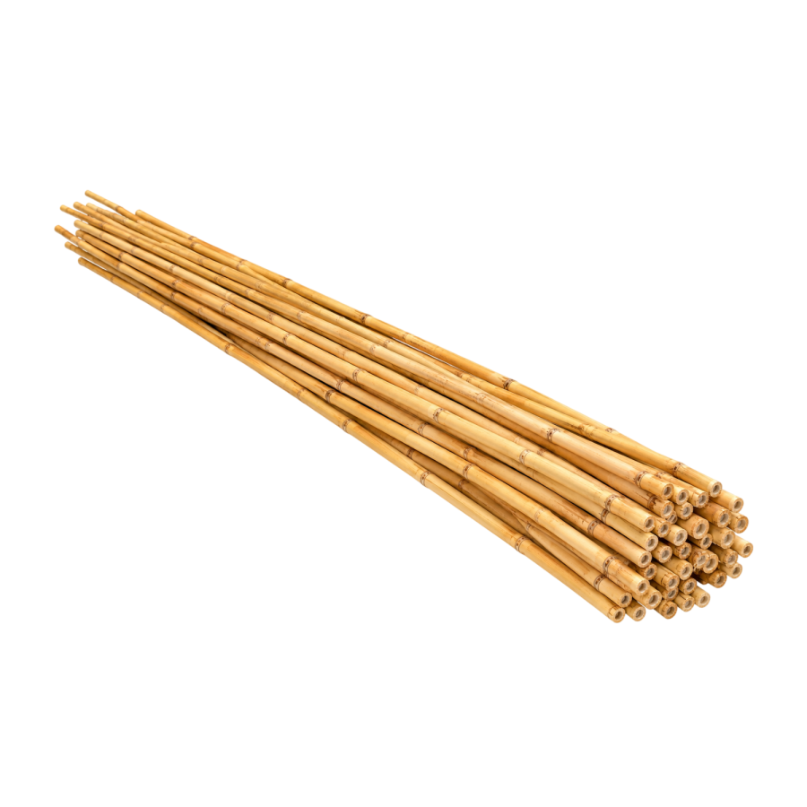 Lot de 25 Tuteurs bambou 150cm x Ø10/12mm