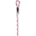 corde patron plus 11mm