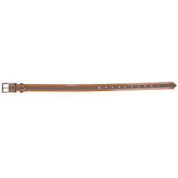 collier chien PT