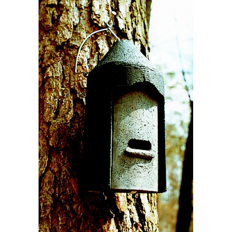 Gîte à chauves-souris d'hivernage en béton de bois