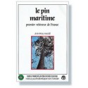 le pin maritime 1er résineux de france