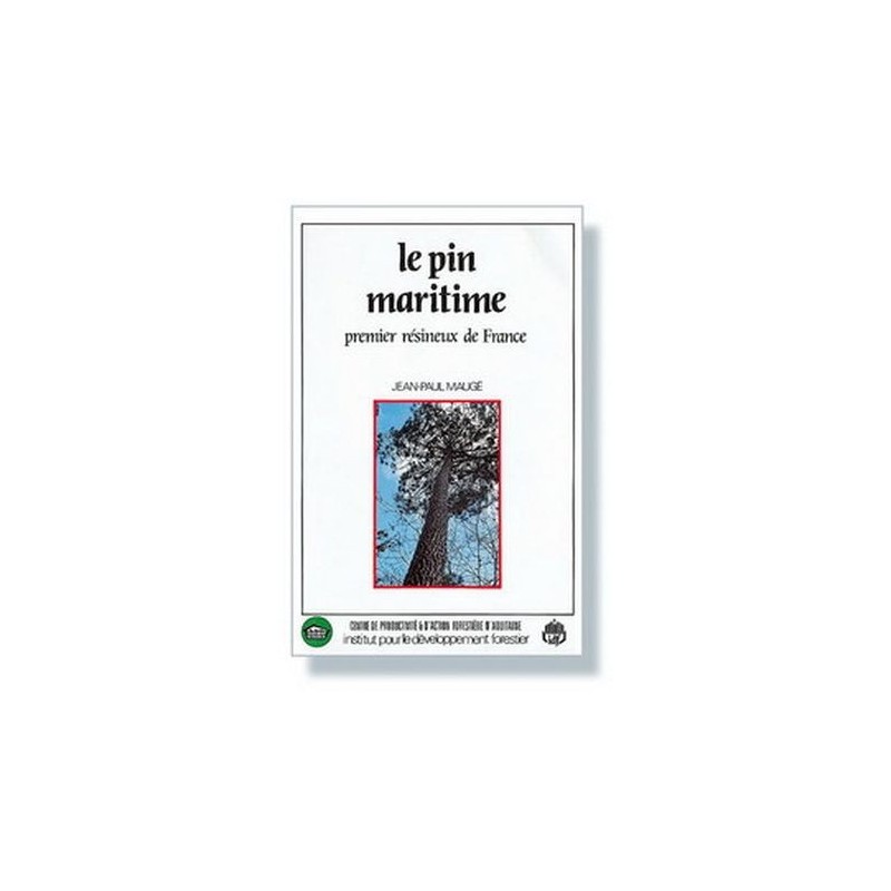 le pin maritime 1er résineux de france