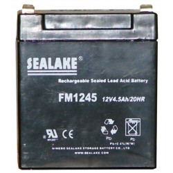 Batterie rechargeable 12V