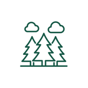 Forêt