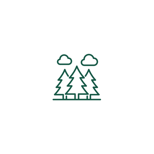 Forêt
