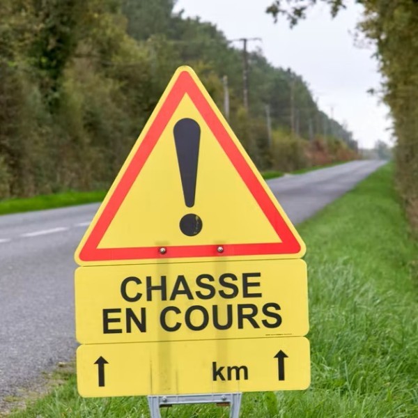 Signalisation
