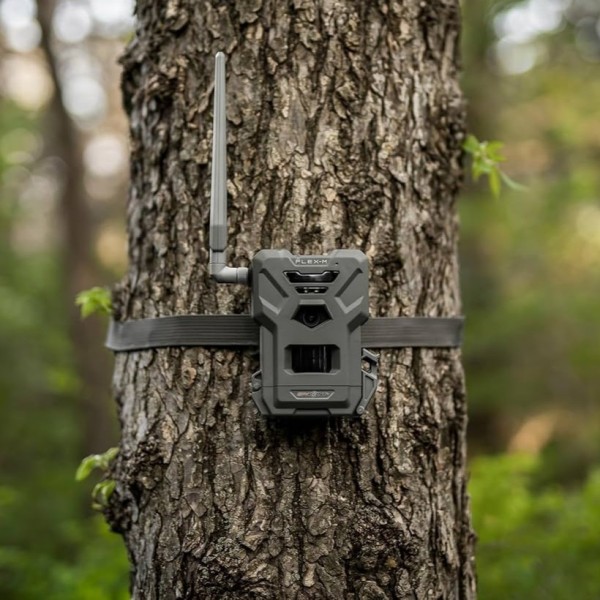 Caméra chasse