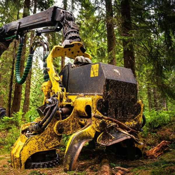 Chaine Harvester