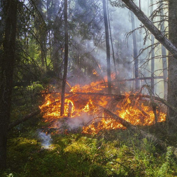 Matériel incendie